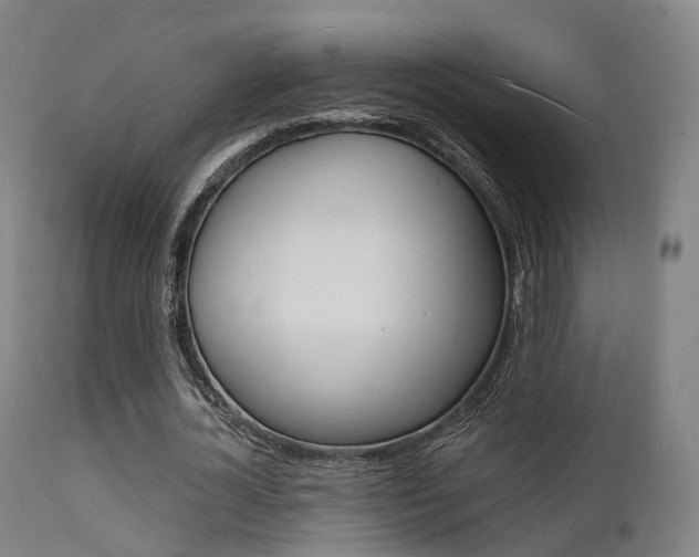 X0000112140724200908070938