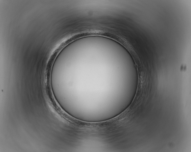 X0000112140726200908070938
