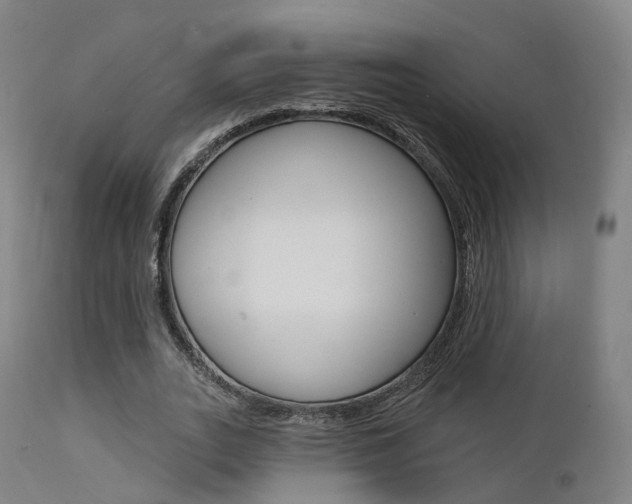 X0000112140727200908070938