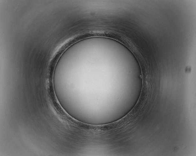 X0000112140728200908070938