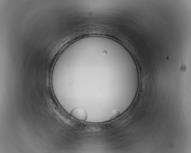 X0000112140729200908070938