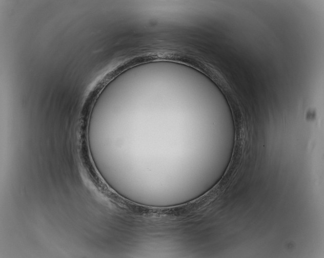 X0000112140730200908070938