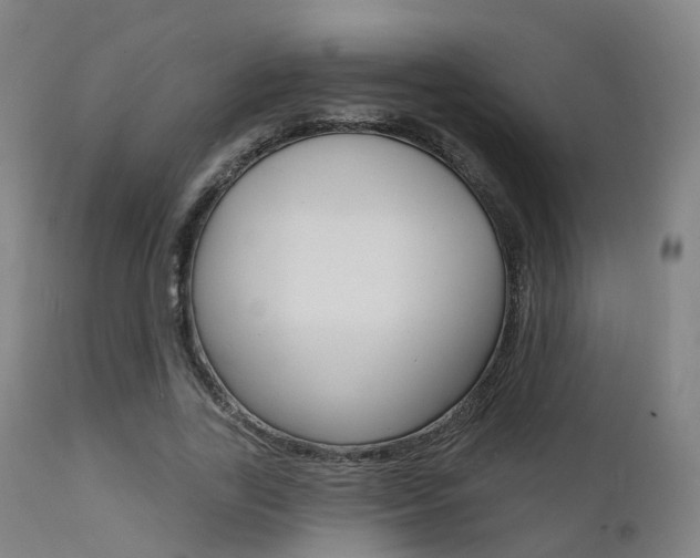 X0000112140731200908070938