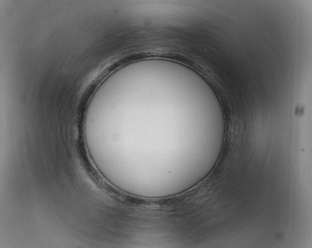 X0000112140734200908070938