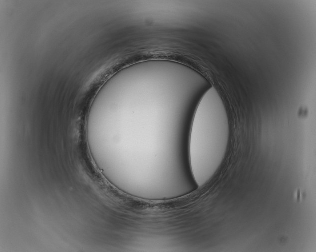 X0000112140735200908070938