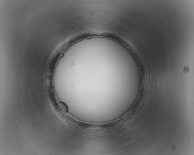 X0000112140736200908070938