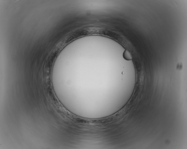 X0000112140737200908070938