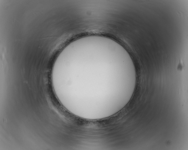 X0000112140738200908070938