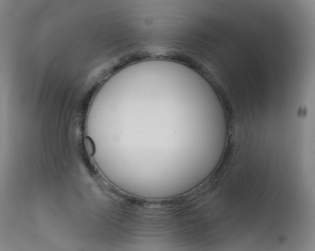 X0000112140740200908070938
