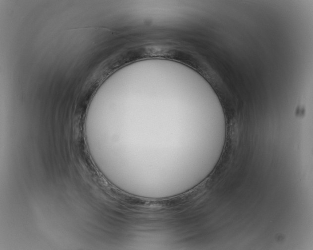 X0000112140741200908070938