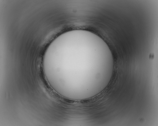 X0000112140742200908070938