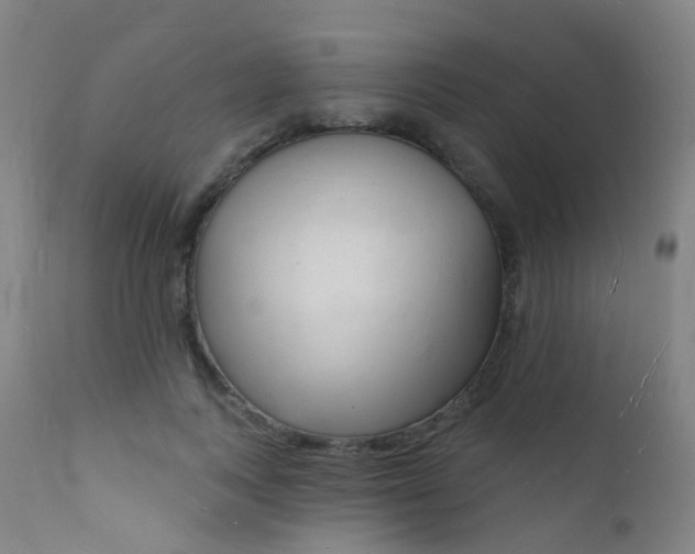 X0000112140743200908070938