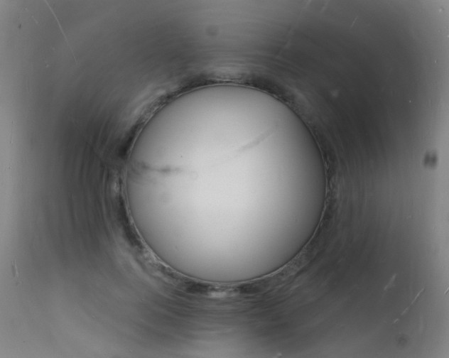 X0000112140744200908070938