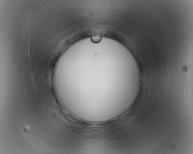 X0000112140745200908070938