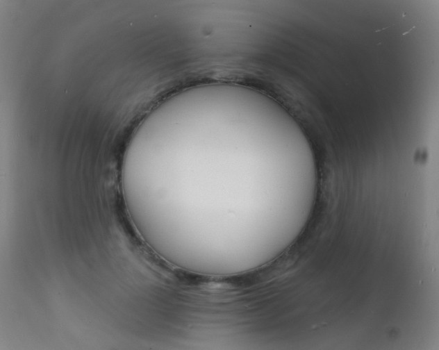 X0000112140748200908070938