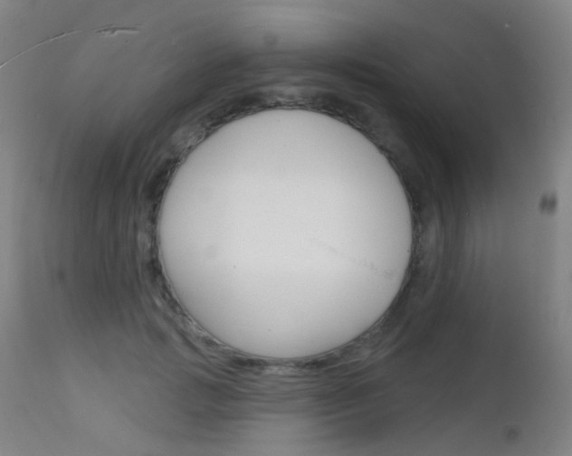 X0000112140749200908070938