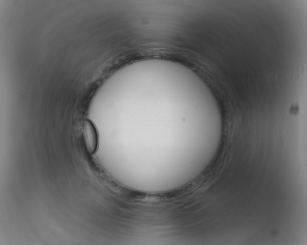 X0000112140751200908070938