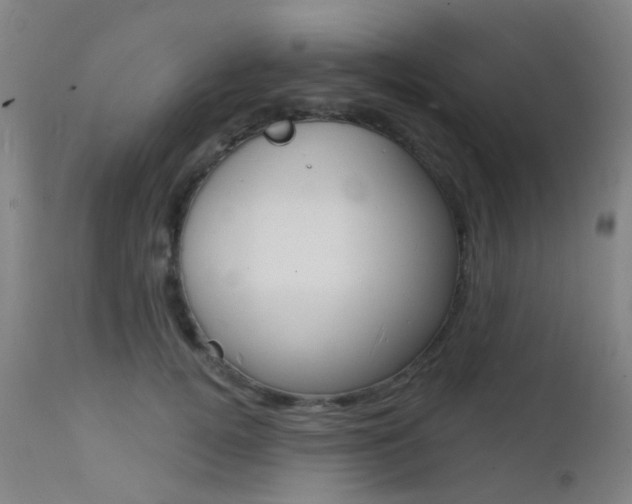 X0000112140752200908070938