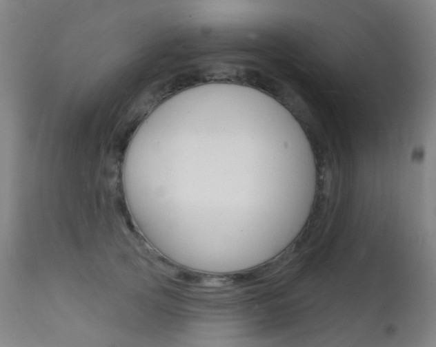 X0000112140753200908070938