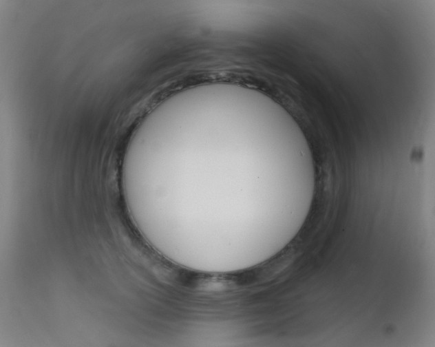 X0000112140754200908070938