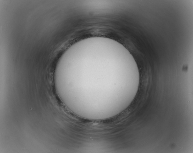 X0000112140755200908070938