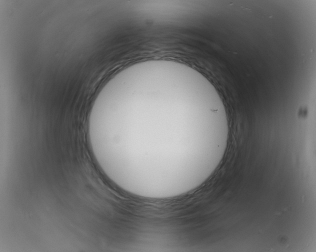 X0000112140756200908070938