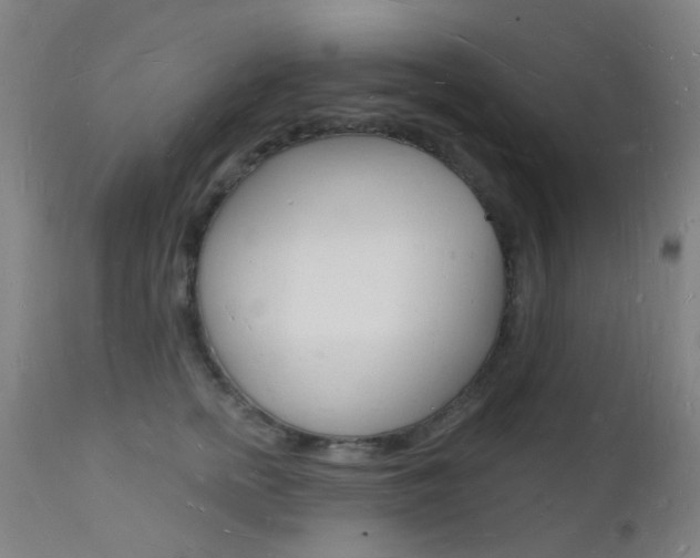 X0000112140758200908070938
