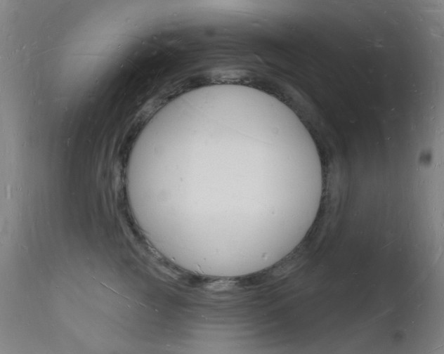 X0000112140761200908070938