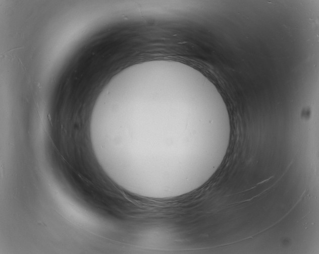 X0000112140764200908070939