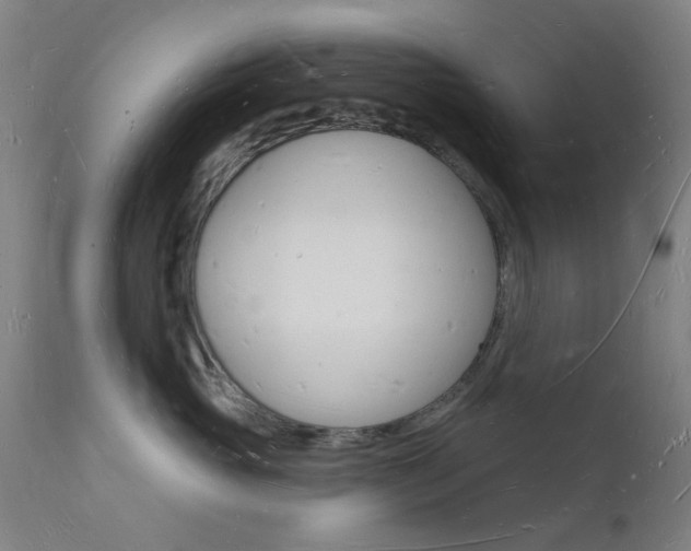 X0000112140765200908070939