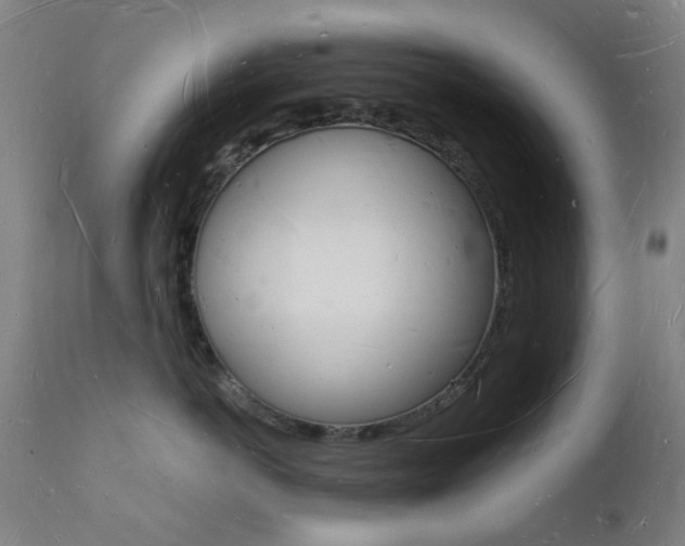 X0000112140766200908070939