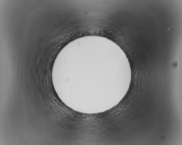X0000112140769200908070938