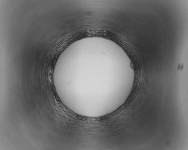 X0000112140770200908070938