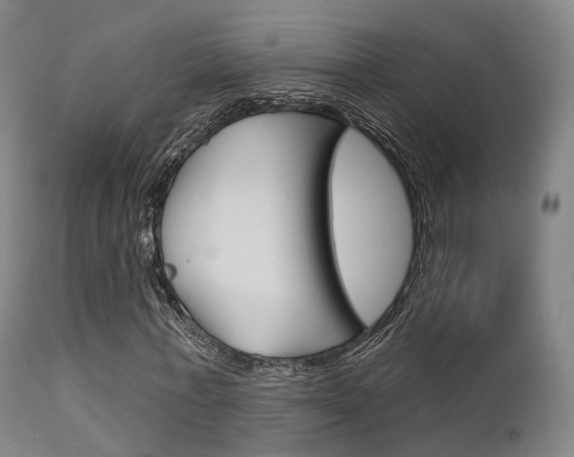 X0000112140771200908070938
