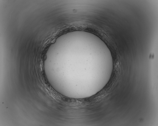 X0000112140772200908070938