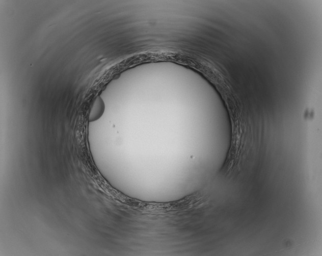 X0000112140773200908070938