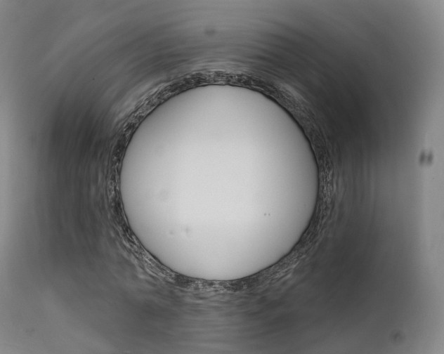 X0000112140774200908070938