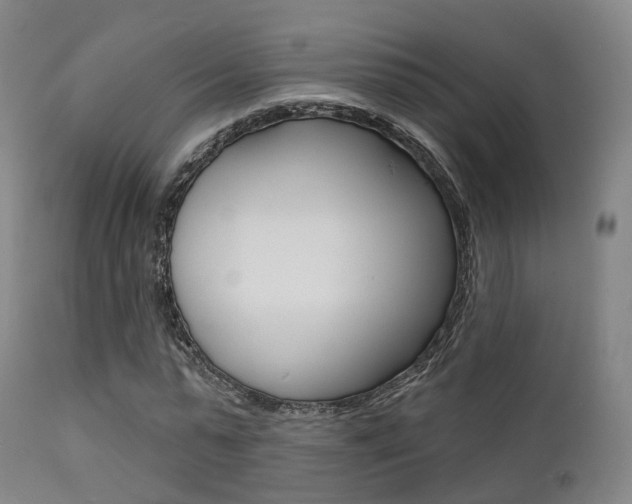 X0000112140775200908070938