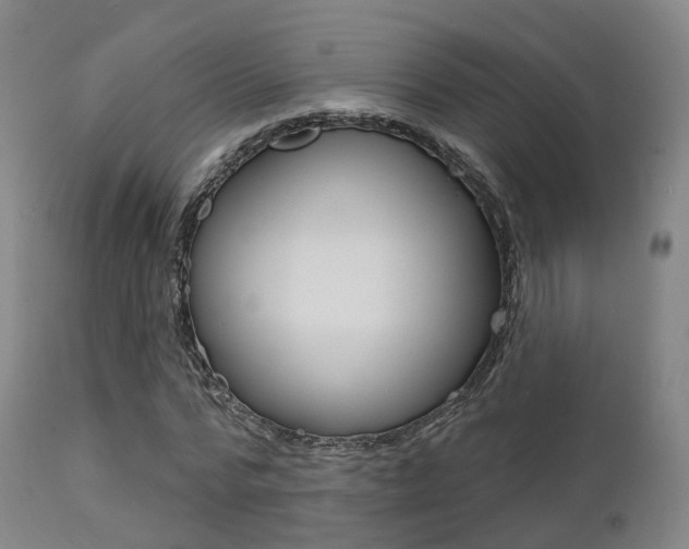 X0000112140776200908070938