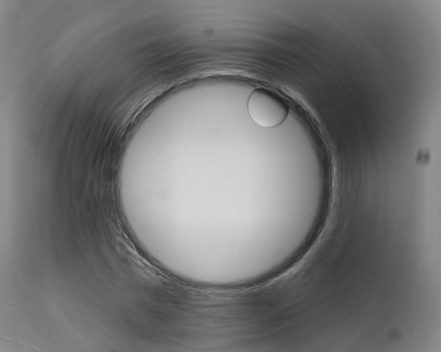 X0000112140777200908070938