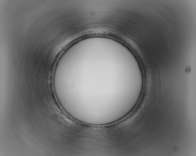 X0000112140778200908070938