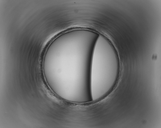 X0000112140779200908070938
