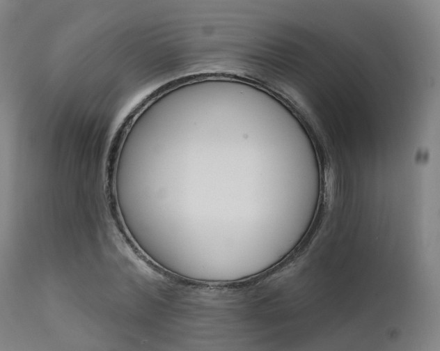 X0000112140780200908070938