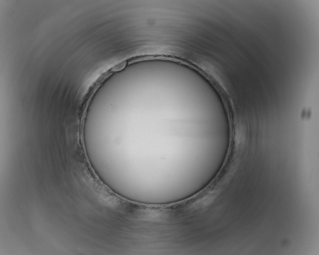 X0000112140781200908070938