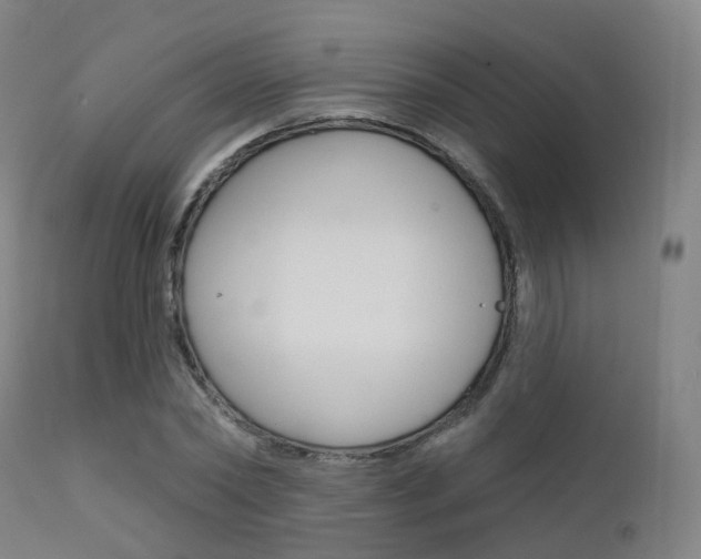X0000112140782200908070938