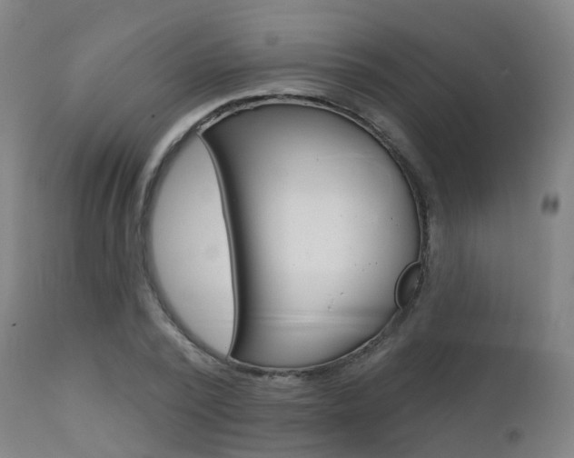 X0000112140784200908070938