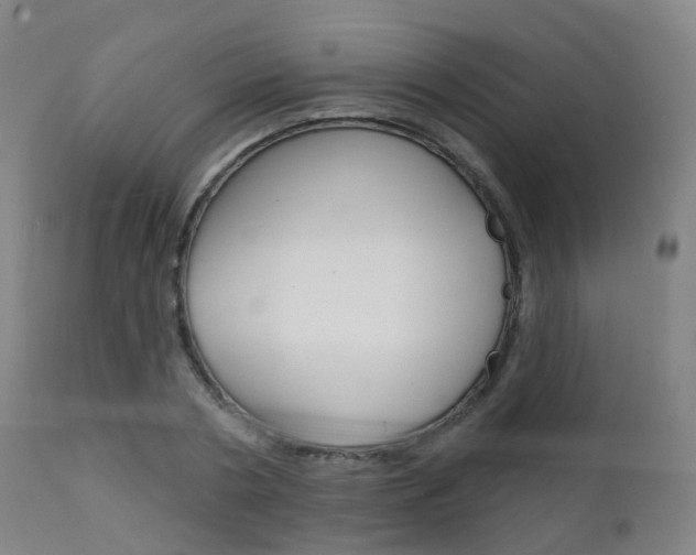X0000112140786200908070937