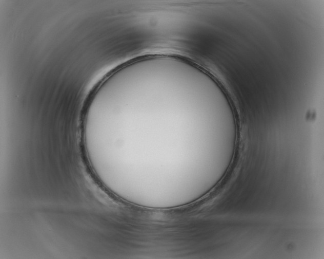 X0000112140787200908070937