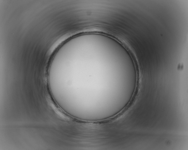X0000112140789200908070937