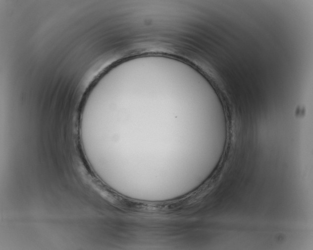 X0000112140790200908070937